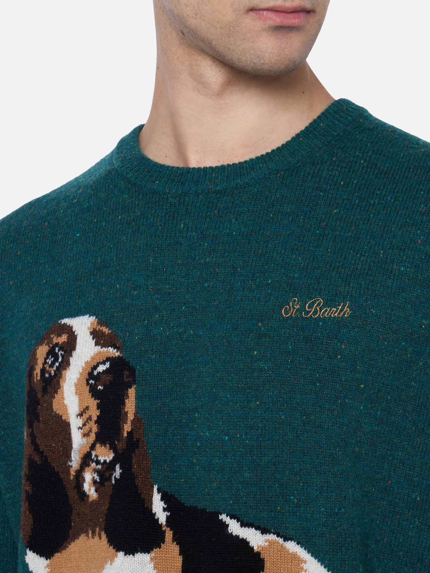 Man green sweater Heron with basset hound print - MC2 Saint Barth
