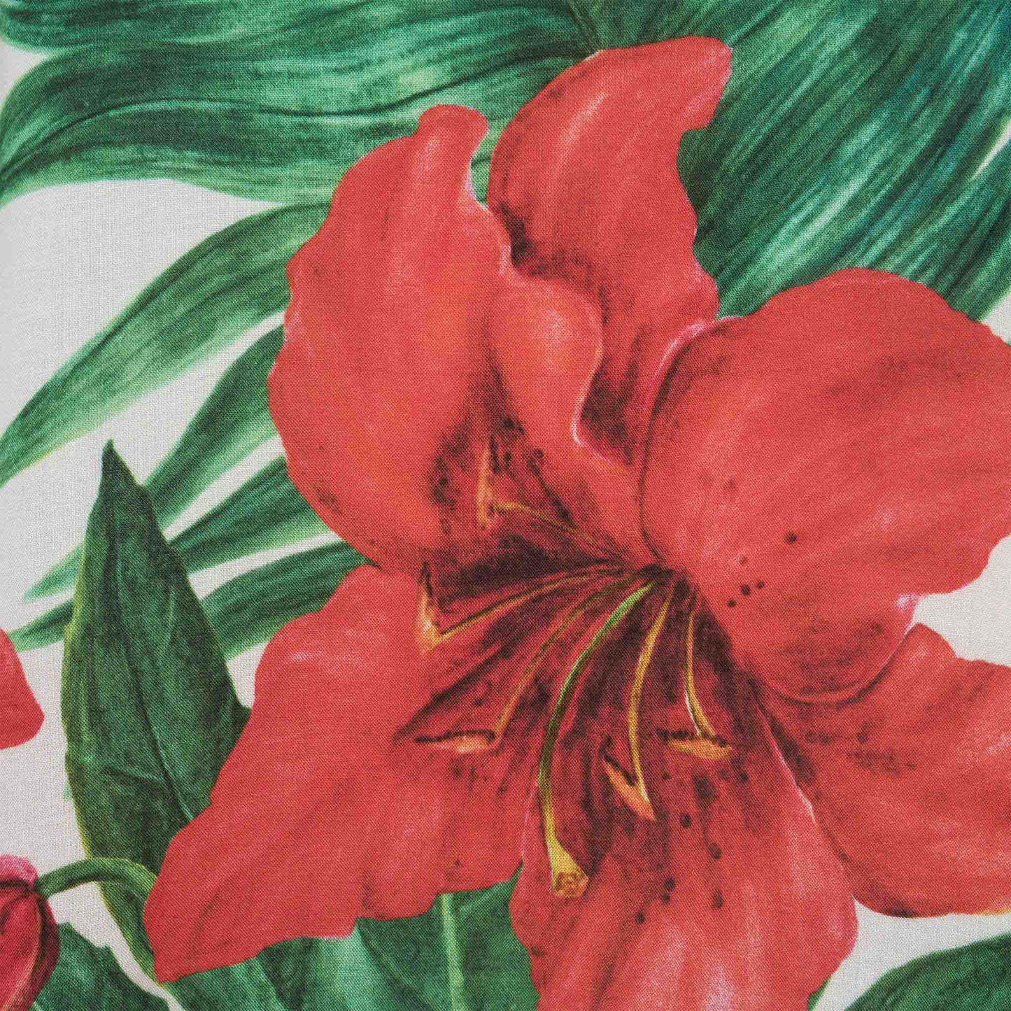 Girl caftan with ibiscus print - MC2 Saint Barth