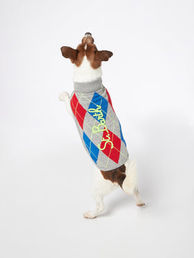 Dog sweater with argyle print - MC2 Saint Barth
