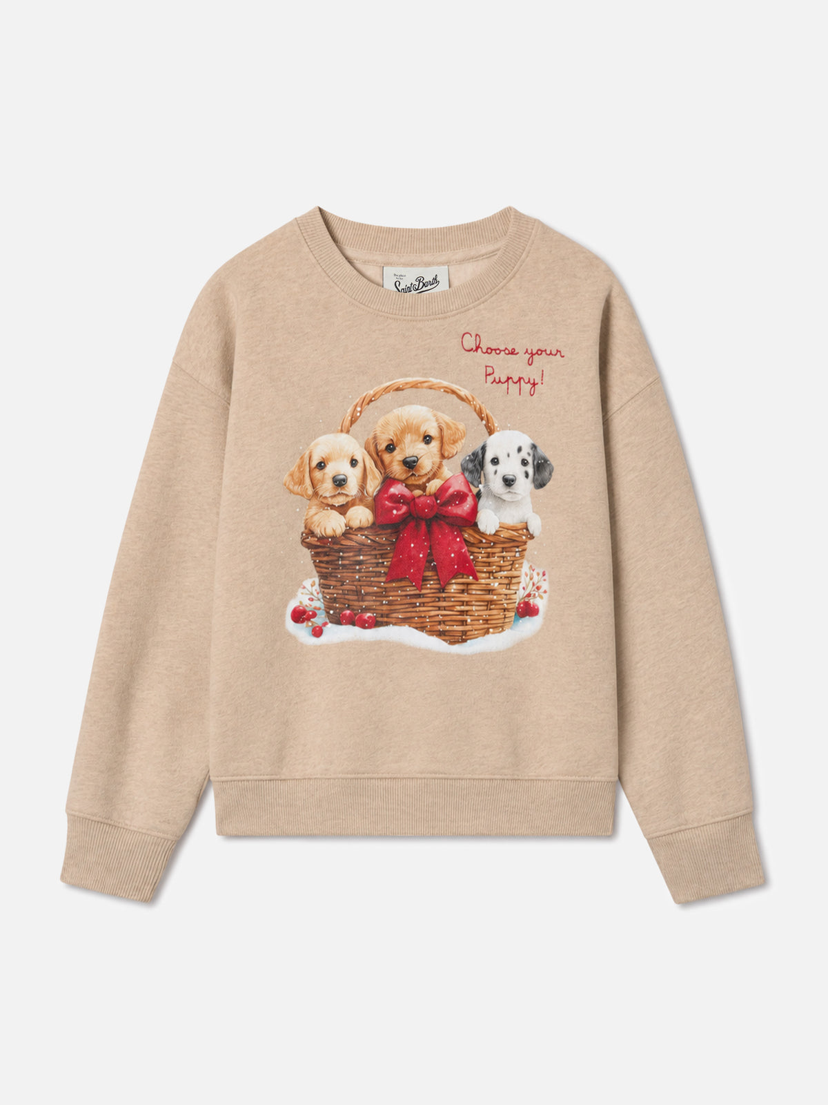 Sweatshirt ras-du-cou Briony avec imprimé chiots et broderie 