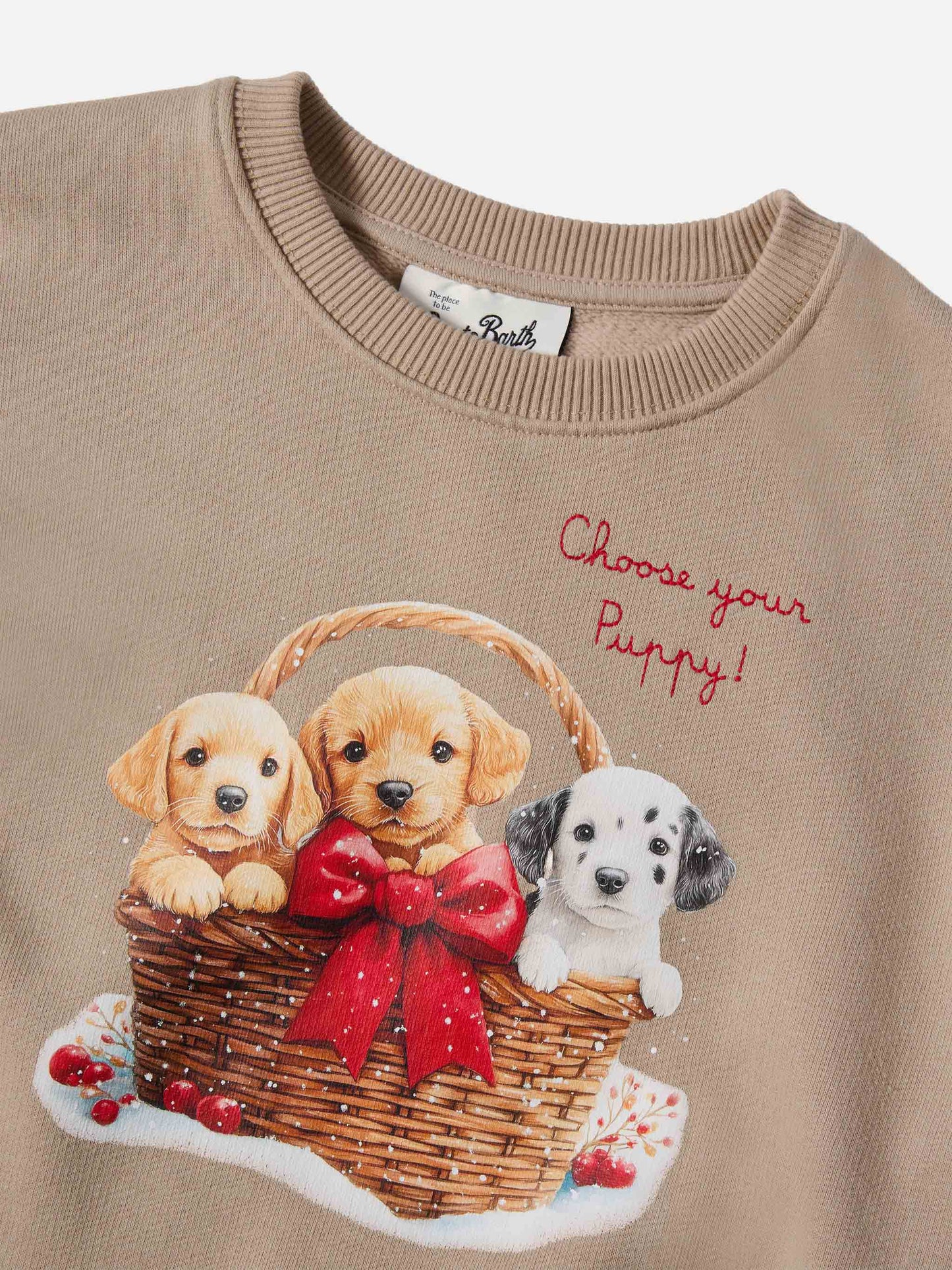 Briony crewneck sweatshirt with puppies print and embroidery