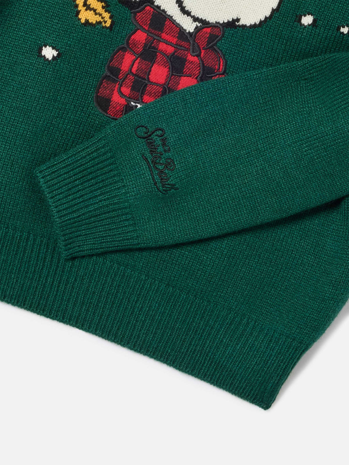 Pull en maille à col rond Douglas avec patch Snoopy et broderie Winter Mood | Special edition 
