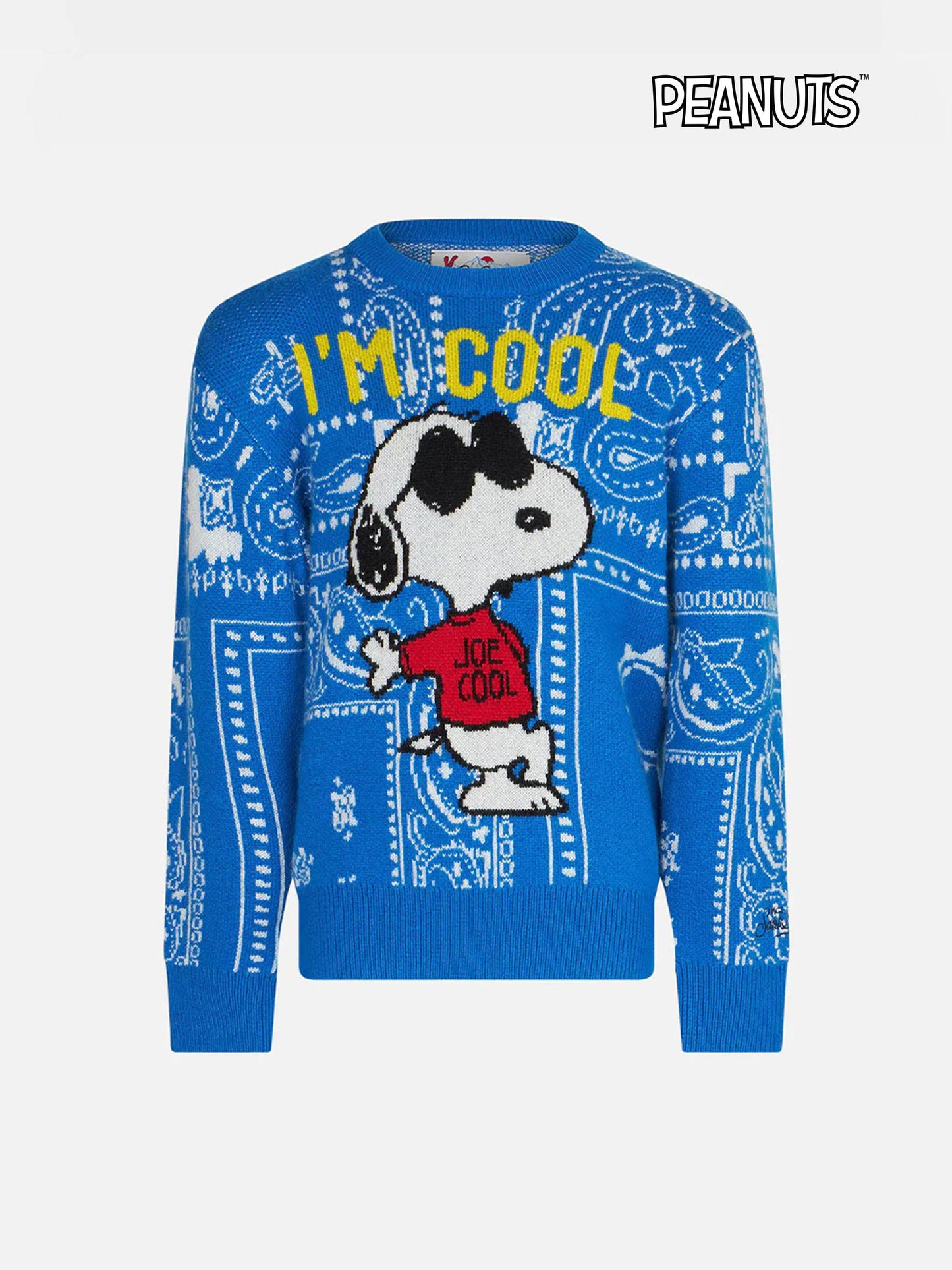 Rundhalspullover für Jungen mit Snoopy-Aufdruck | PEANUTS™ SONDEREDITION