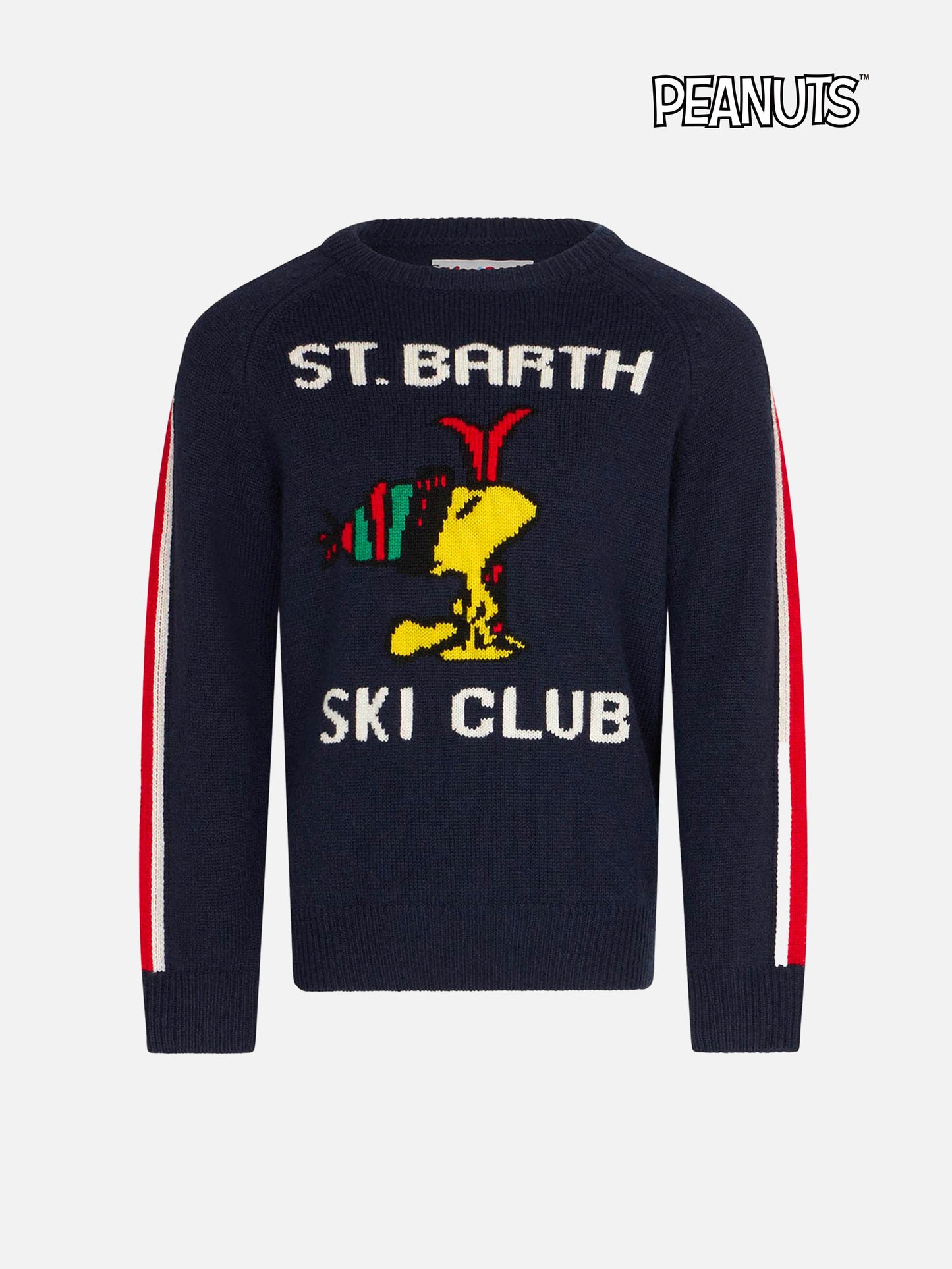 Boy crewneck sweater with Woodstock print | WOODSTOCK - PEANUTS™ SPECIAL EDITION