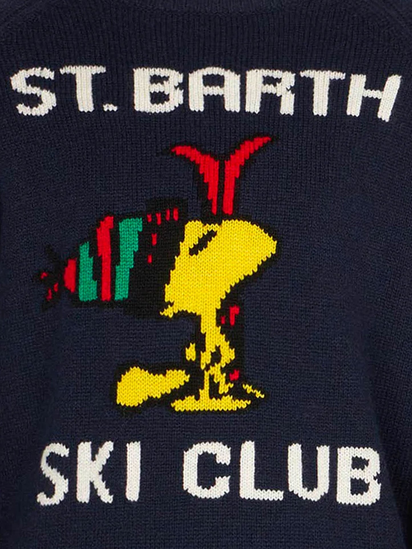 Boy crewneck sweater with Woodstock print | WOODSTOCK - PEANUTS™ SPECIAL EDITION