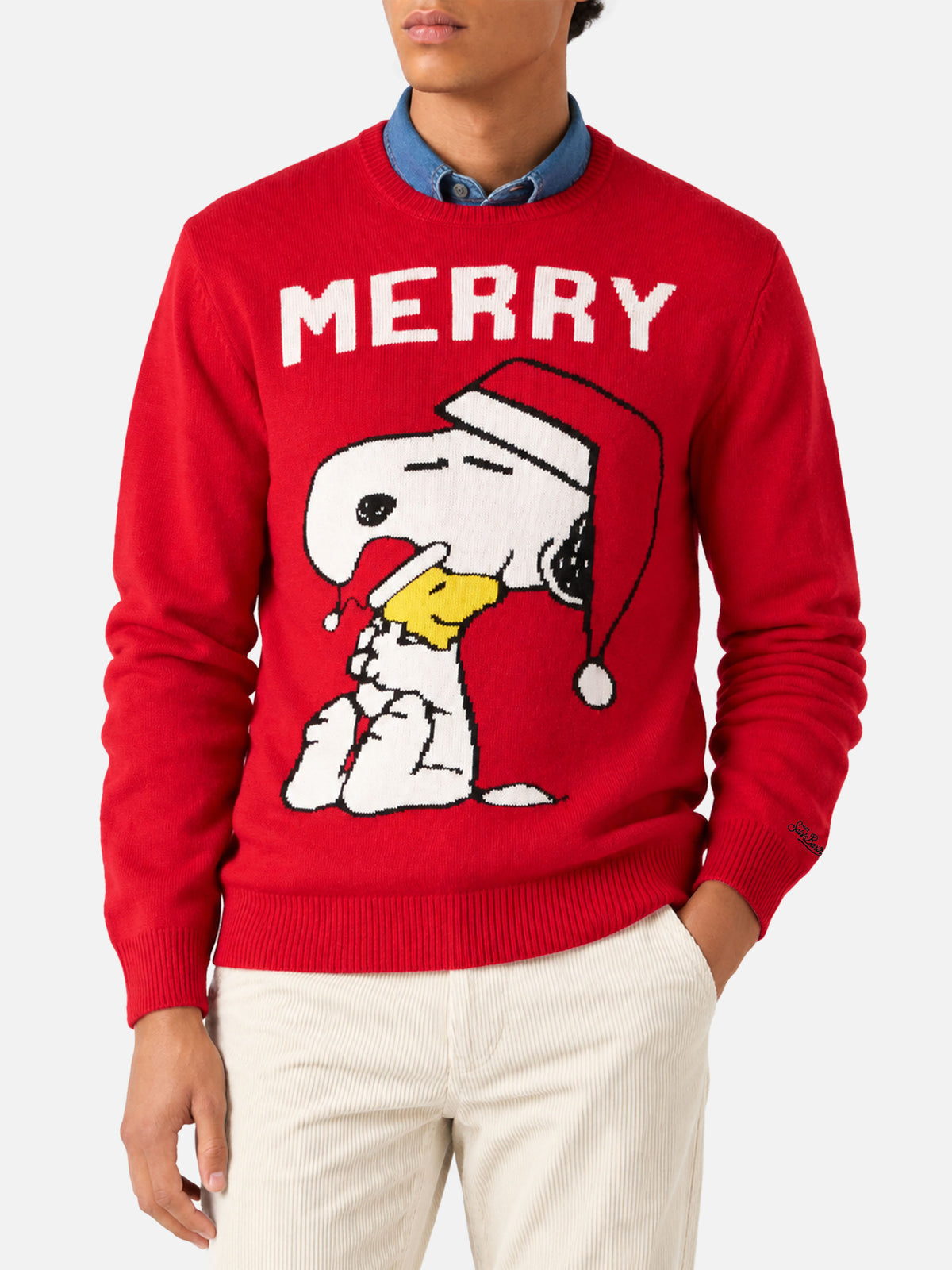 Jersey Heron Snoopy Merry | Edición Especial 
