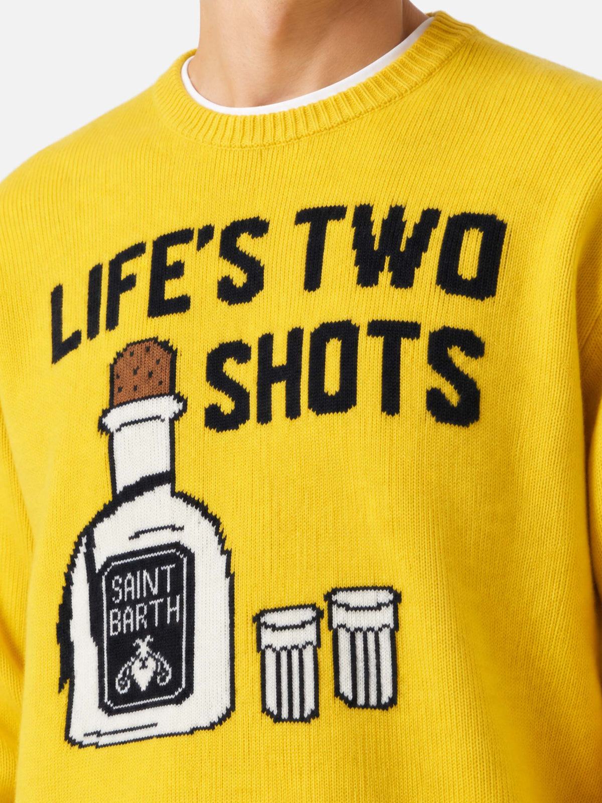 Pull col rond Heron avec jacquard Life's two shots 