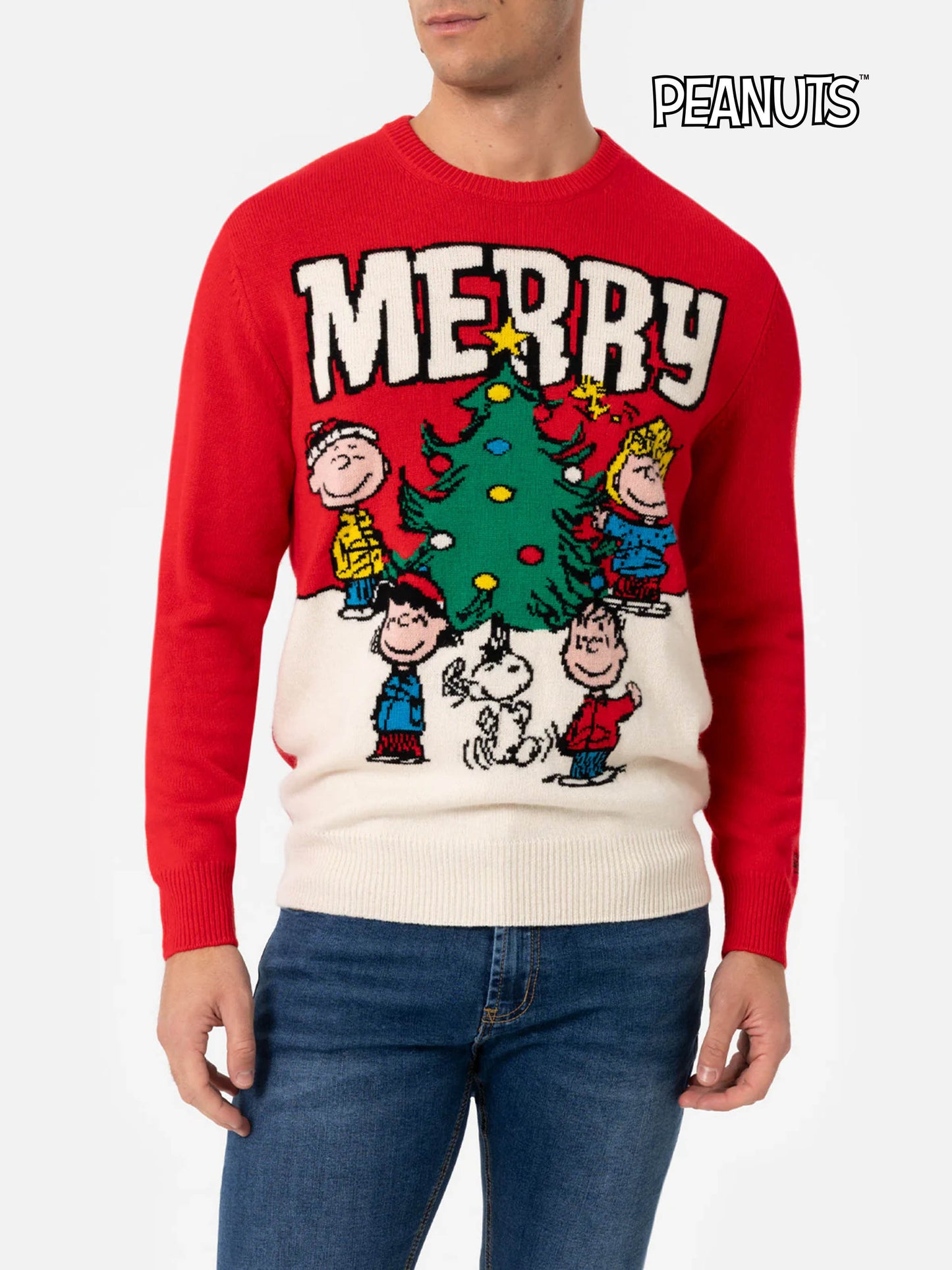 Maglione Heron con jacquard Peanuts friends | SNOOPY PEANUTS SPECIAL EDITION