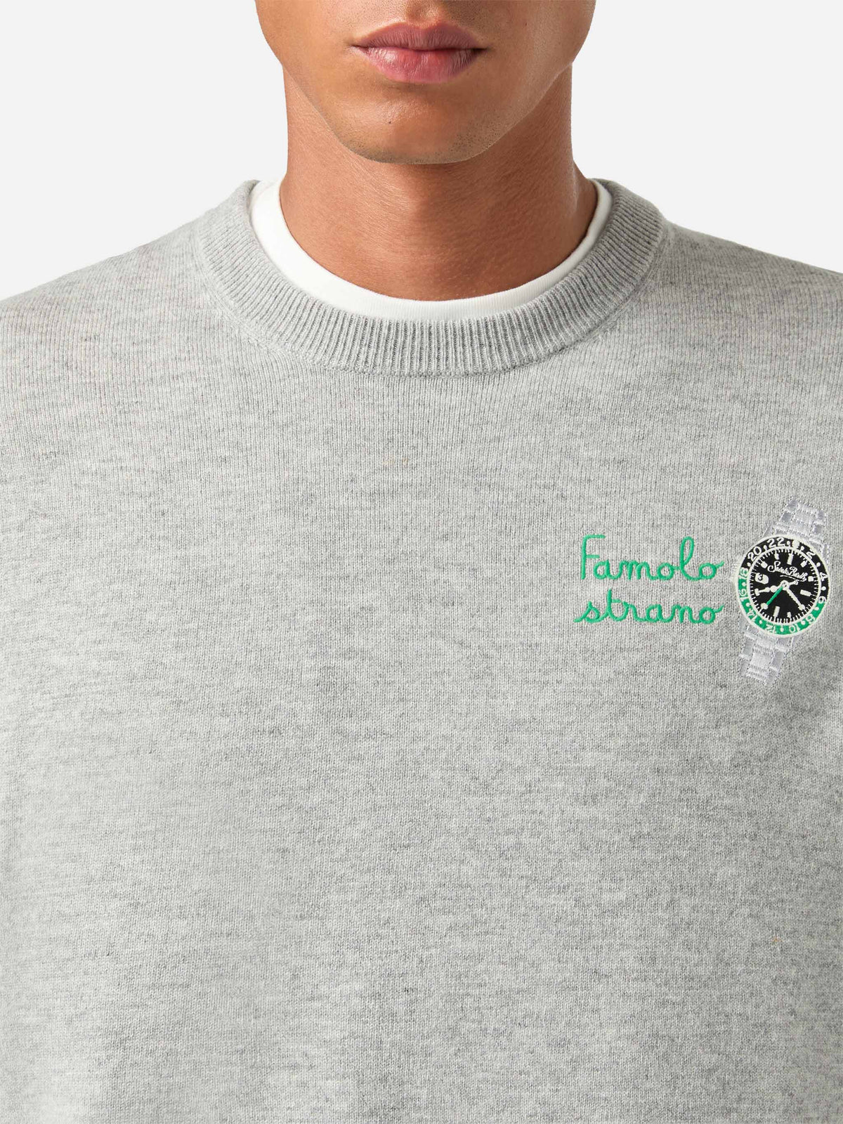 Maglia girocollo Heron Light grigia in misto lana e cashmere con ricamo Famola Strana