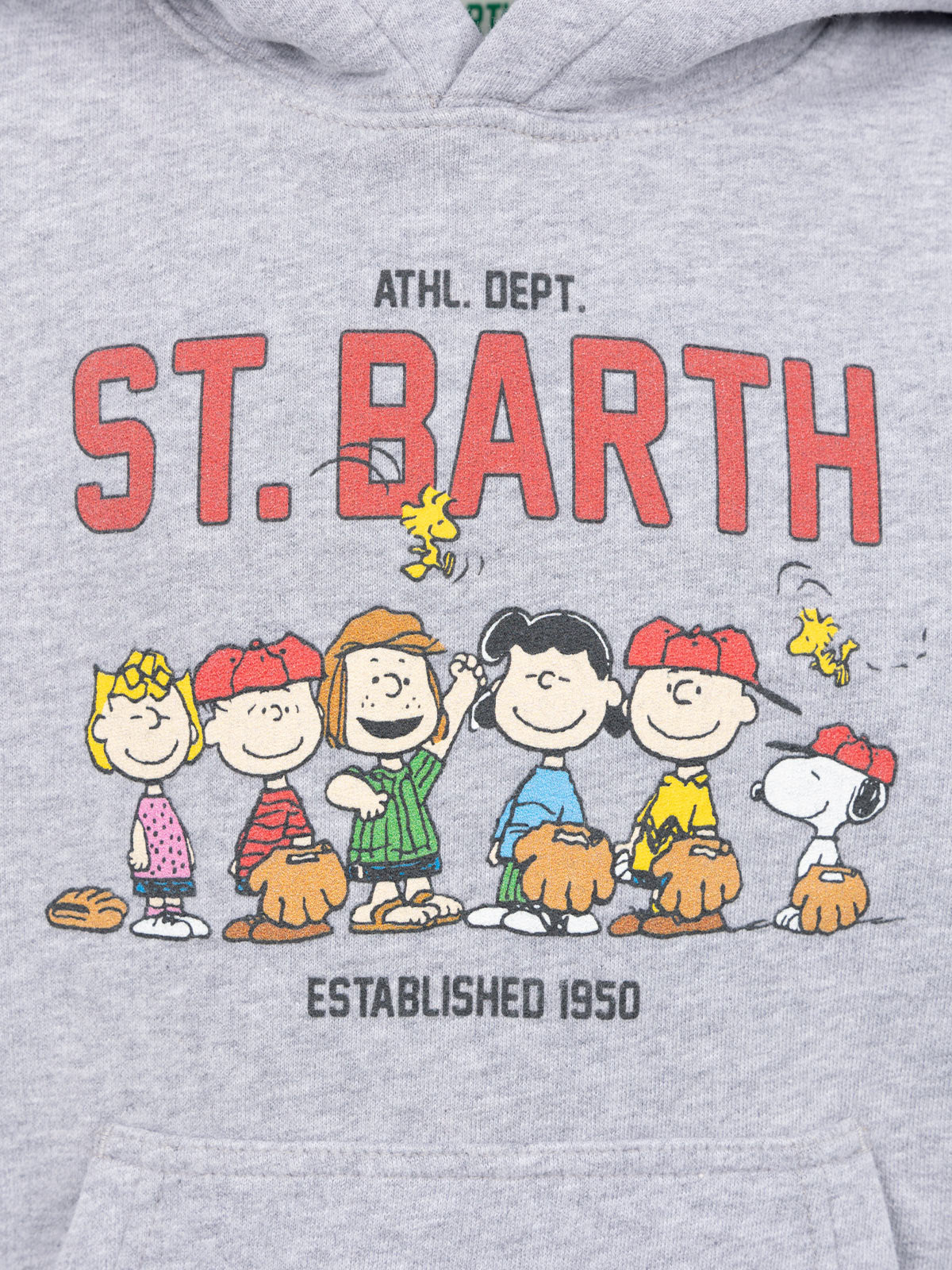 Boy grey sweatshirt Oliver with Peanuts print | SNOOPY PEANUTS SPECIAL EDITION - MC2 Saint Barth