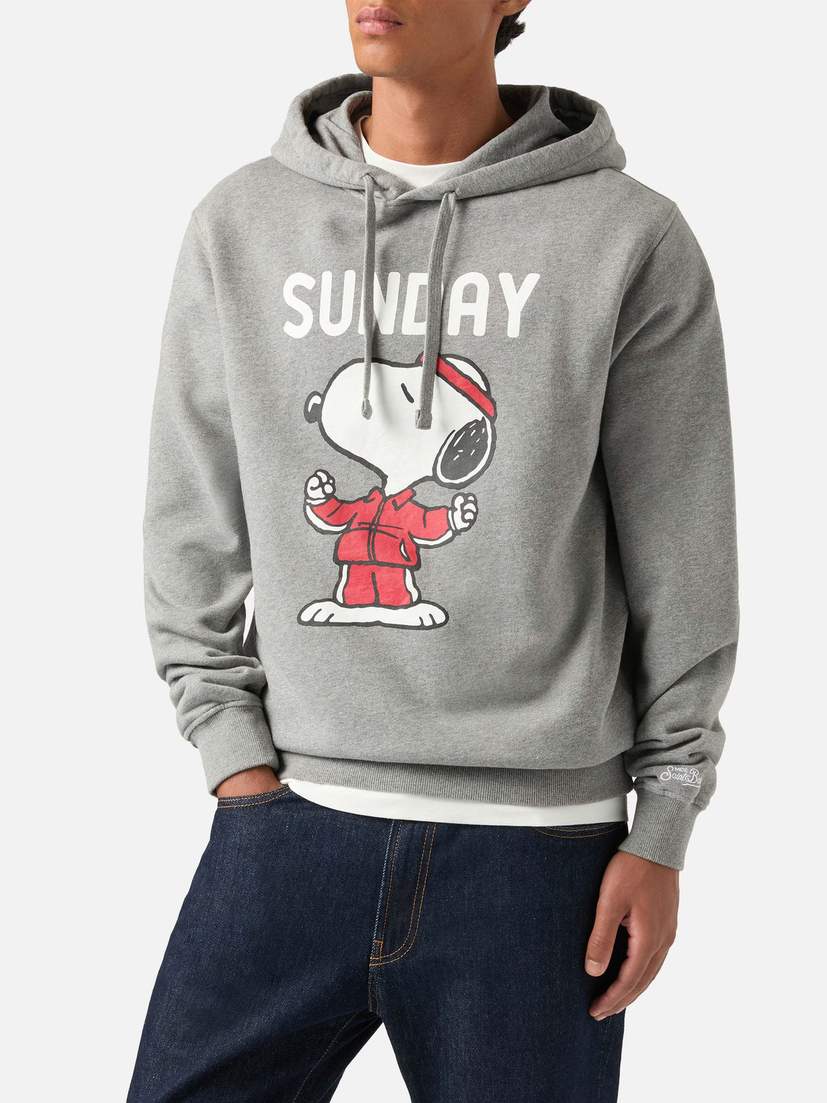 Sweat à capuche Tribeca en coton gris avec imprimé Snoopy | Special edition 