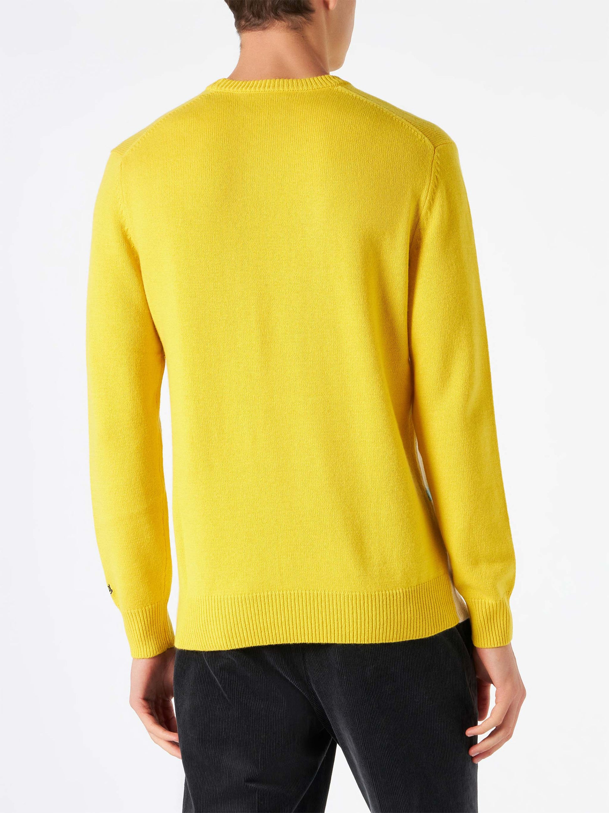 Man sweater with Les Alpes postcard - MC2 Saint Barth